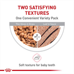 Royal Canin kitten variety pack label closeup shows quality ingredients