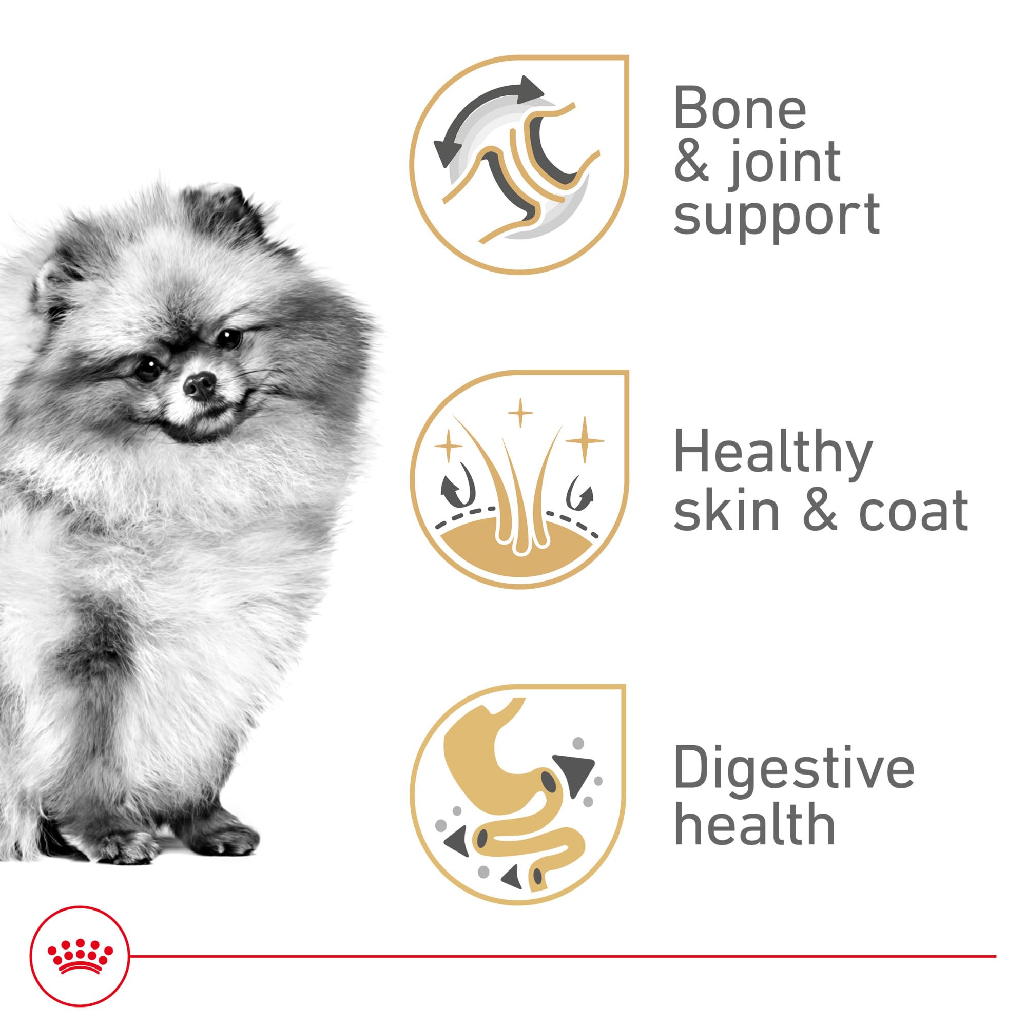 Royal Canin Pomeranian kibble close-up showing small, easy-to-chew pieces.