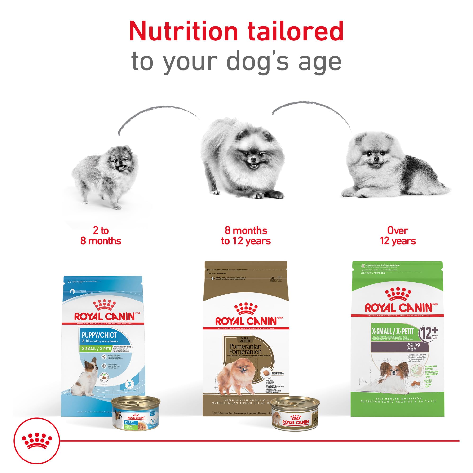 Royal Canin Pomeranian dry food with serving bowl for daily meals.