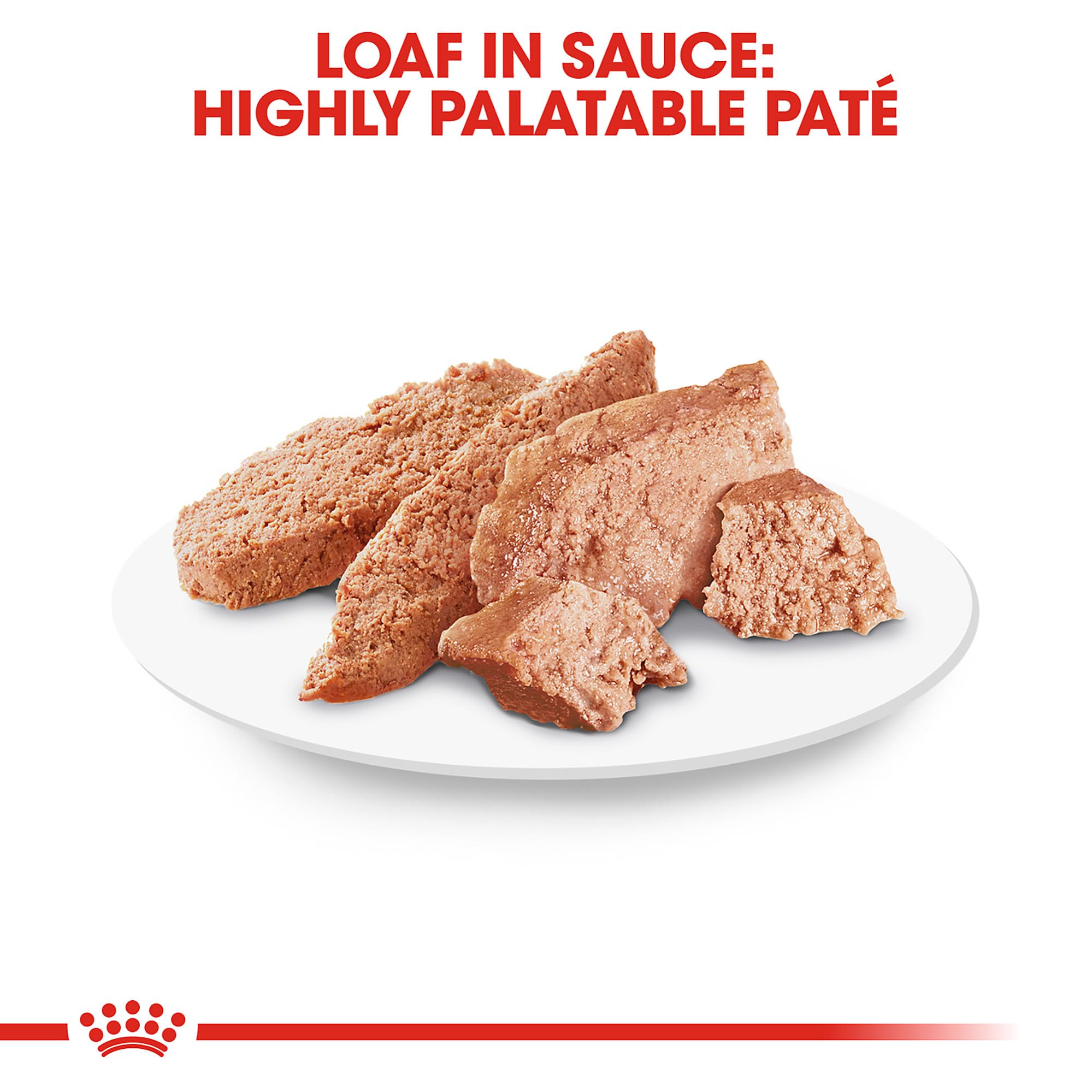 Royal Canin Poodle Adult wet food can close-up shows balanced nutrition for Poodles.