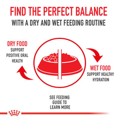 Royal Canin packaging for Poodle Adult wet food emphasizes freshness.