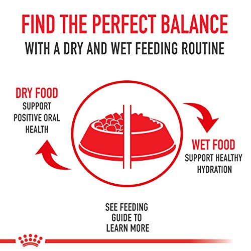 Royal Canin Poodle Adult Wet Food ready-to-serve meal option