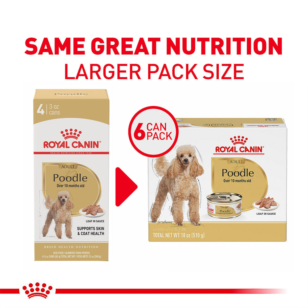 Royal Canin Poodle Adult Wet Food texture close-up showing loaf in sauce