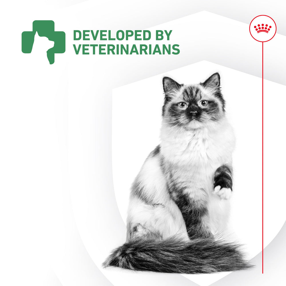 Royal Canin Probiotics 30-count packaging on a kitchen counter.