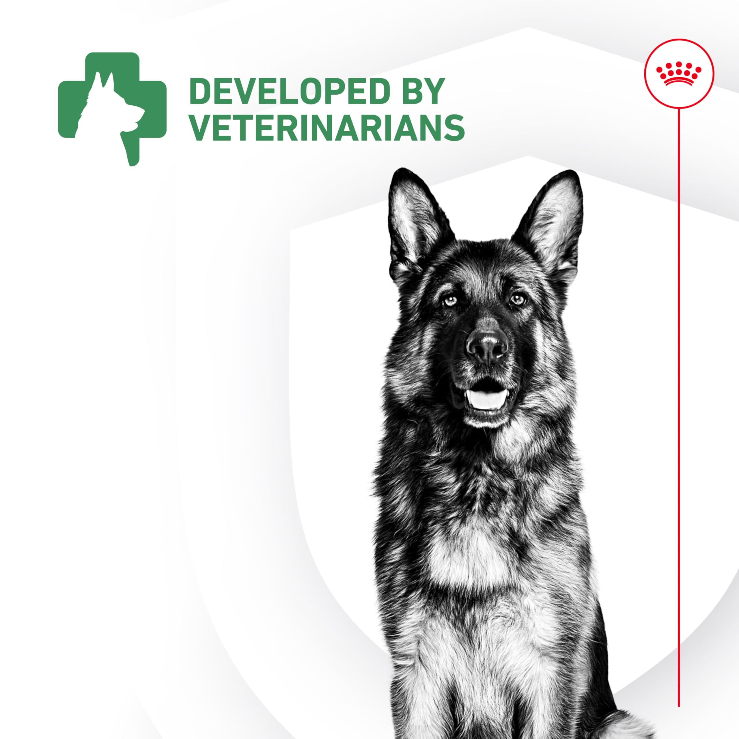 Royal Canin probiotics for all ages displayed beside measuring spoon