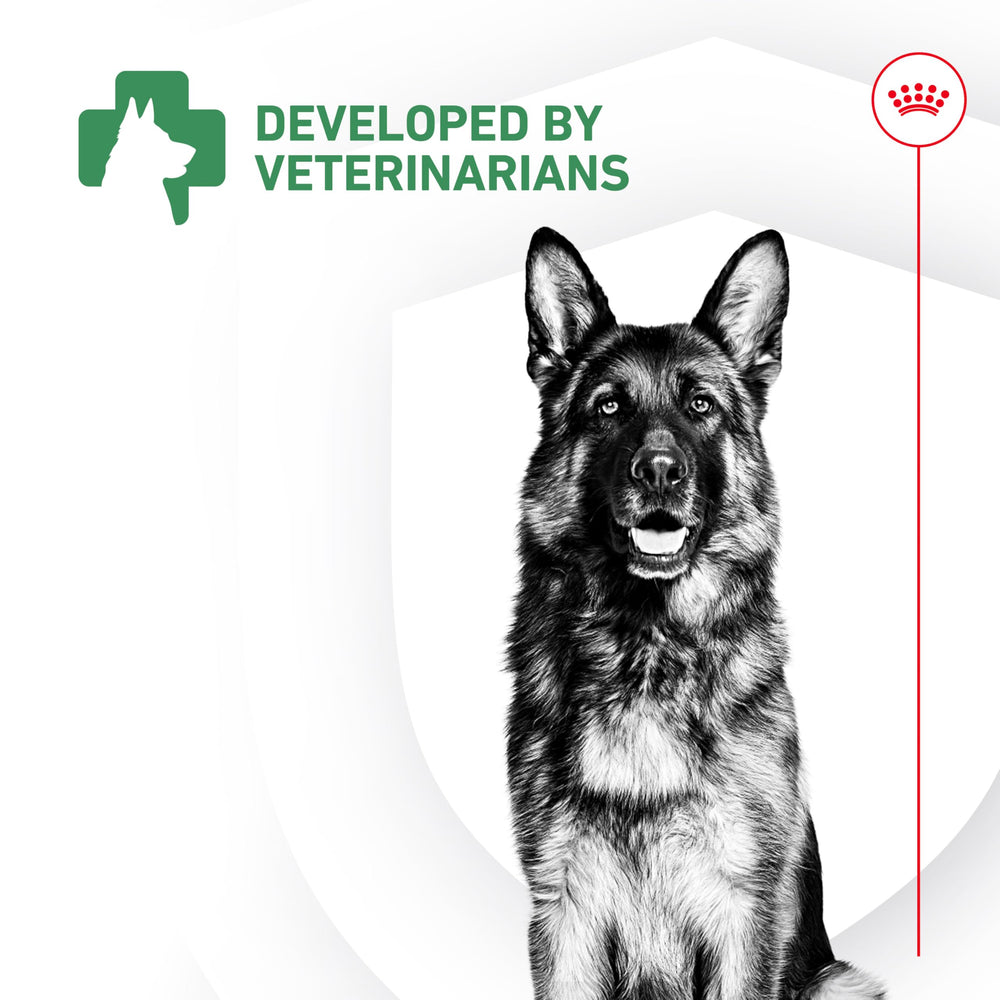 Royal Canin probiotics for all ages displayed beside measuring spoon