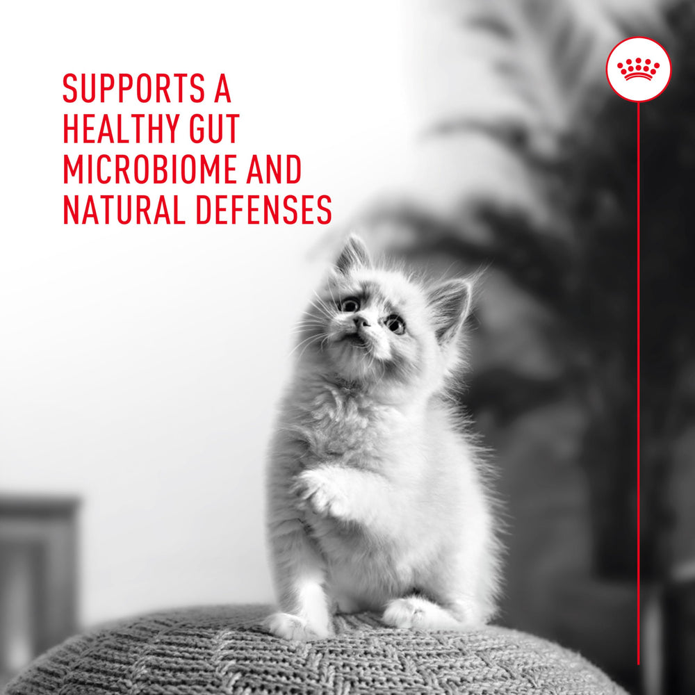 Royal Canin Probiotics label highlighting live probiotic benefits for cats.