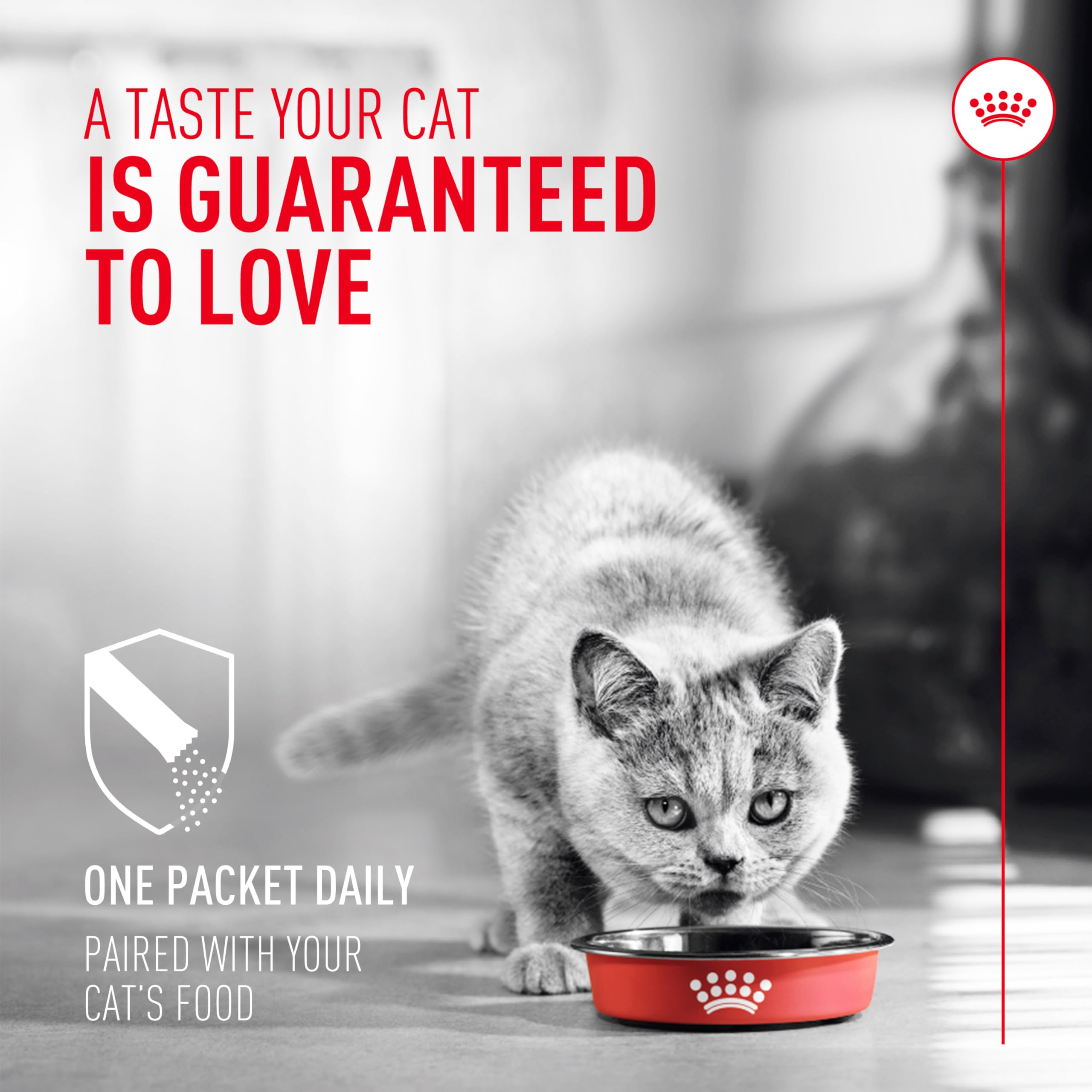 Royal Canin Probiotics sprinkled on dry food supports daily digestive wellness.