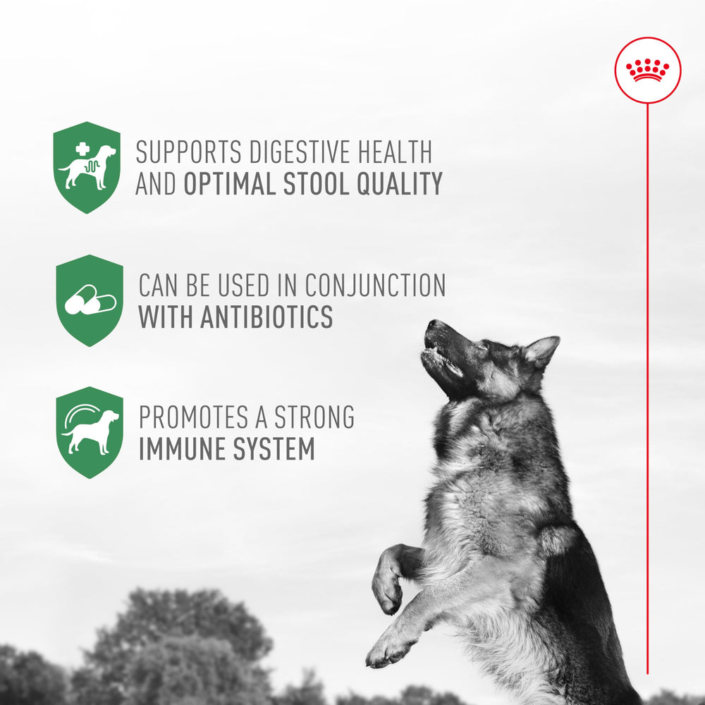 Royal Canin probiotics label and spoon highlight veterinarian developed formulation