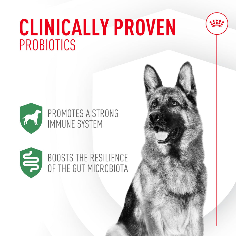 Royal Canin Probiotics on wet food boosts flavor and gut balance