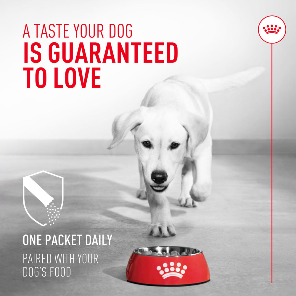 Royal Canin probiotics packet beside dog bowl for easy daily use