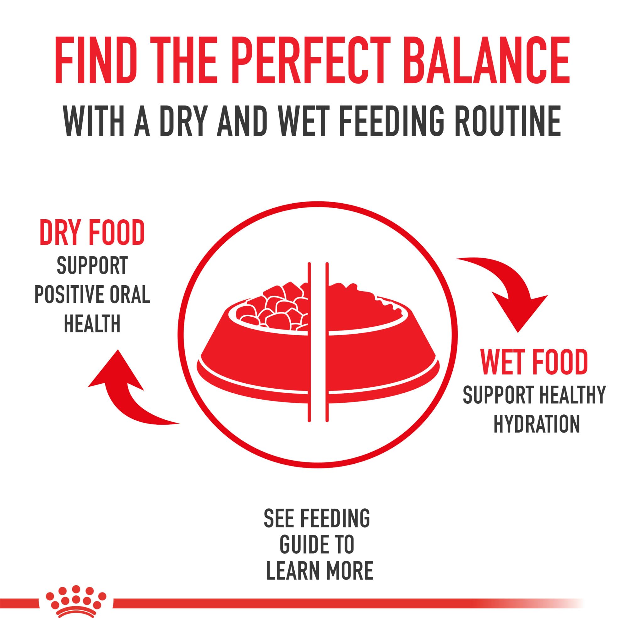 ROYAL CANIN quality and safety focus in nutrition.