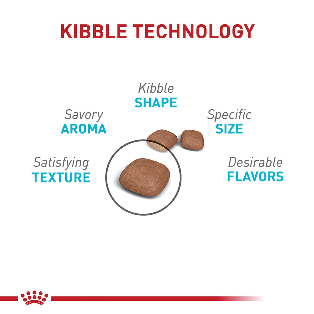Close-up of Royal Canin Urinary Care dry kibble showing crunchy texture.