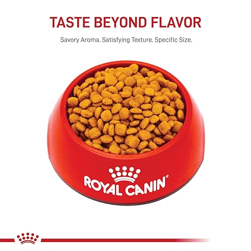 Pet owner reads label on Royal Canin Urinary Care packaging for guidelines.