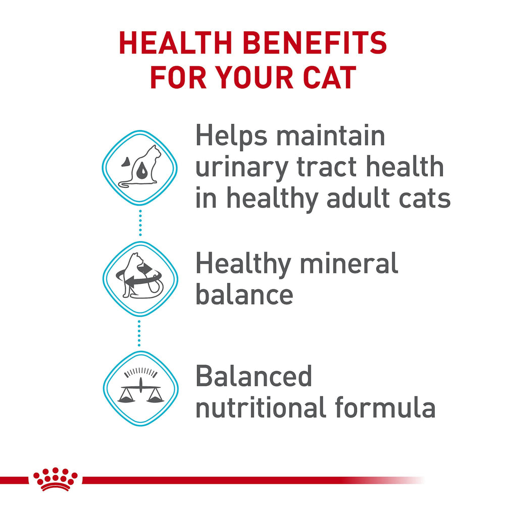 Serving bowl with Royal Canin Urinary Care dry food promotes a healthy feeding routine.