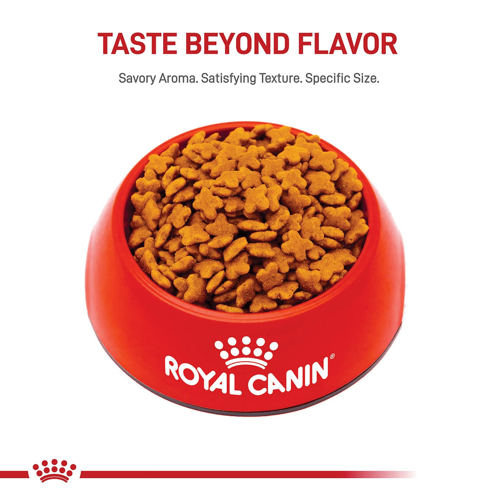 Royal Canin mixed feeding suggestion with wet food shown in bowl.