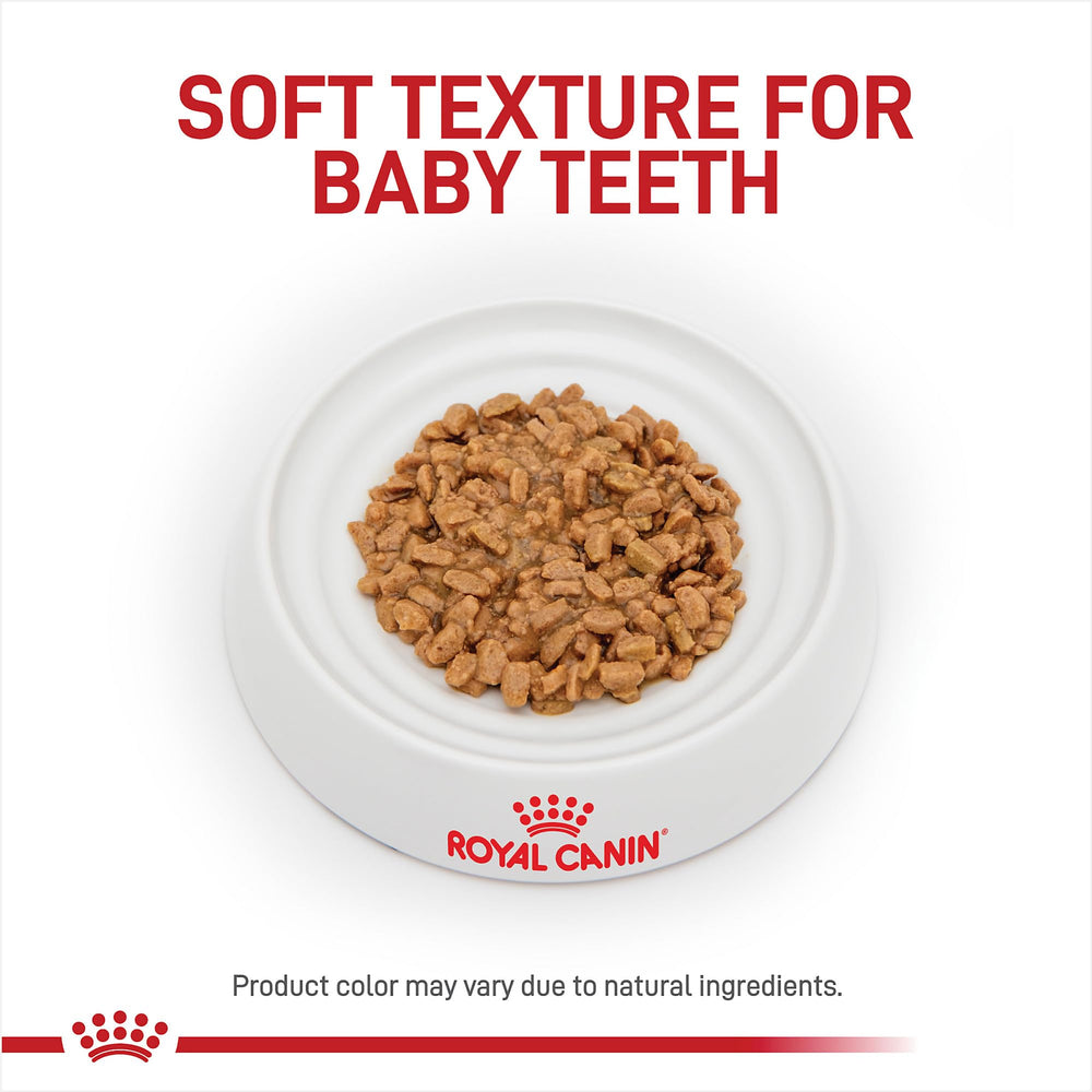 Royal Canin X-Small Puppy packaging visual.