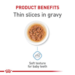 Royal Canin X-Small Puppy serving in bowl.