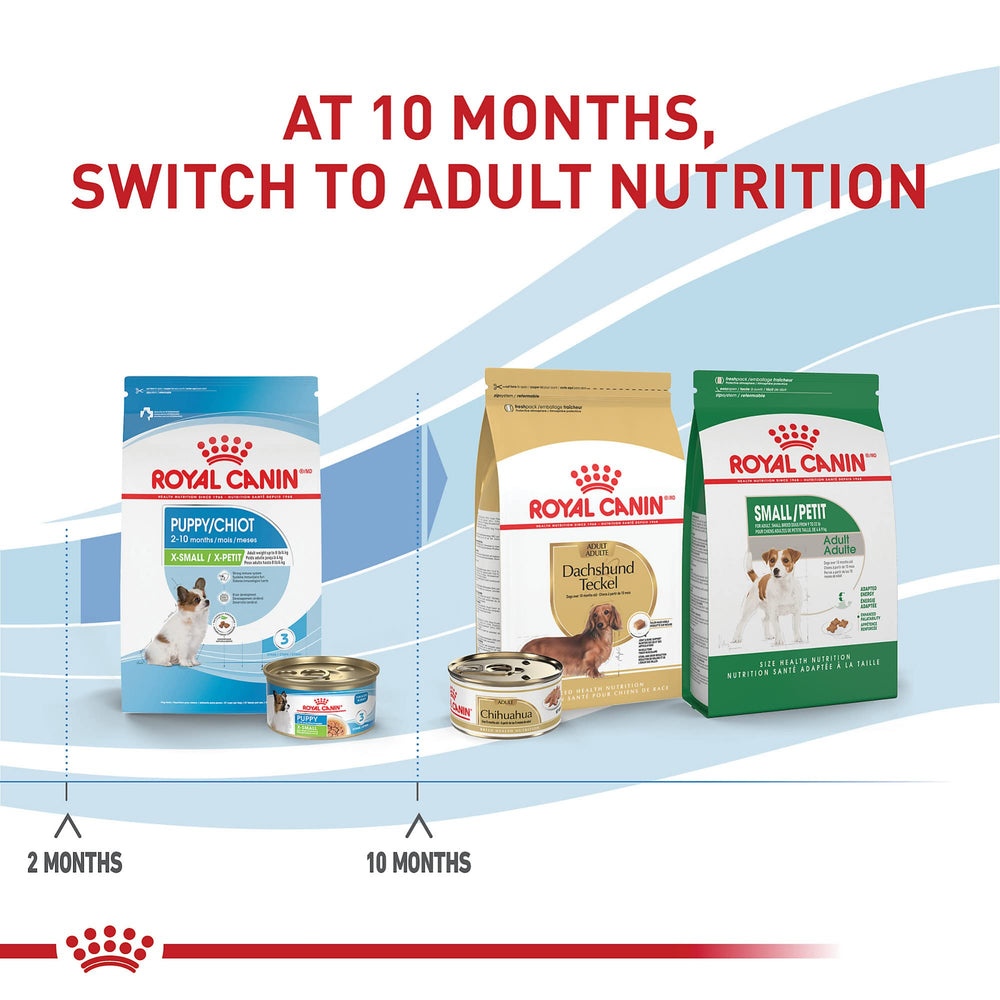 Royal Canin X-Small Puppy tiny meal time scene.