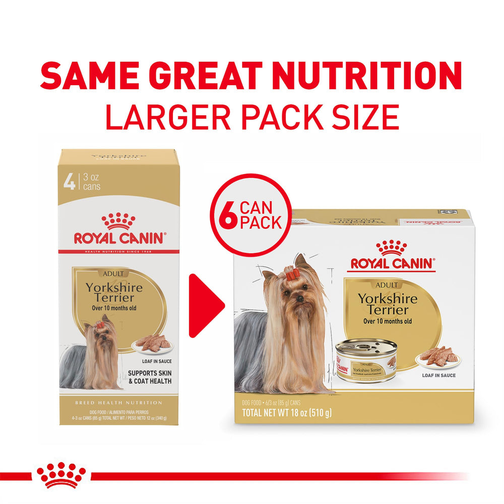 Close-up of Royal Canin Yorkshire Terrier loaf in gravy, showing soft paté texture.