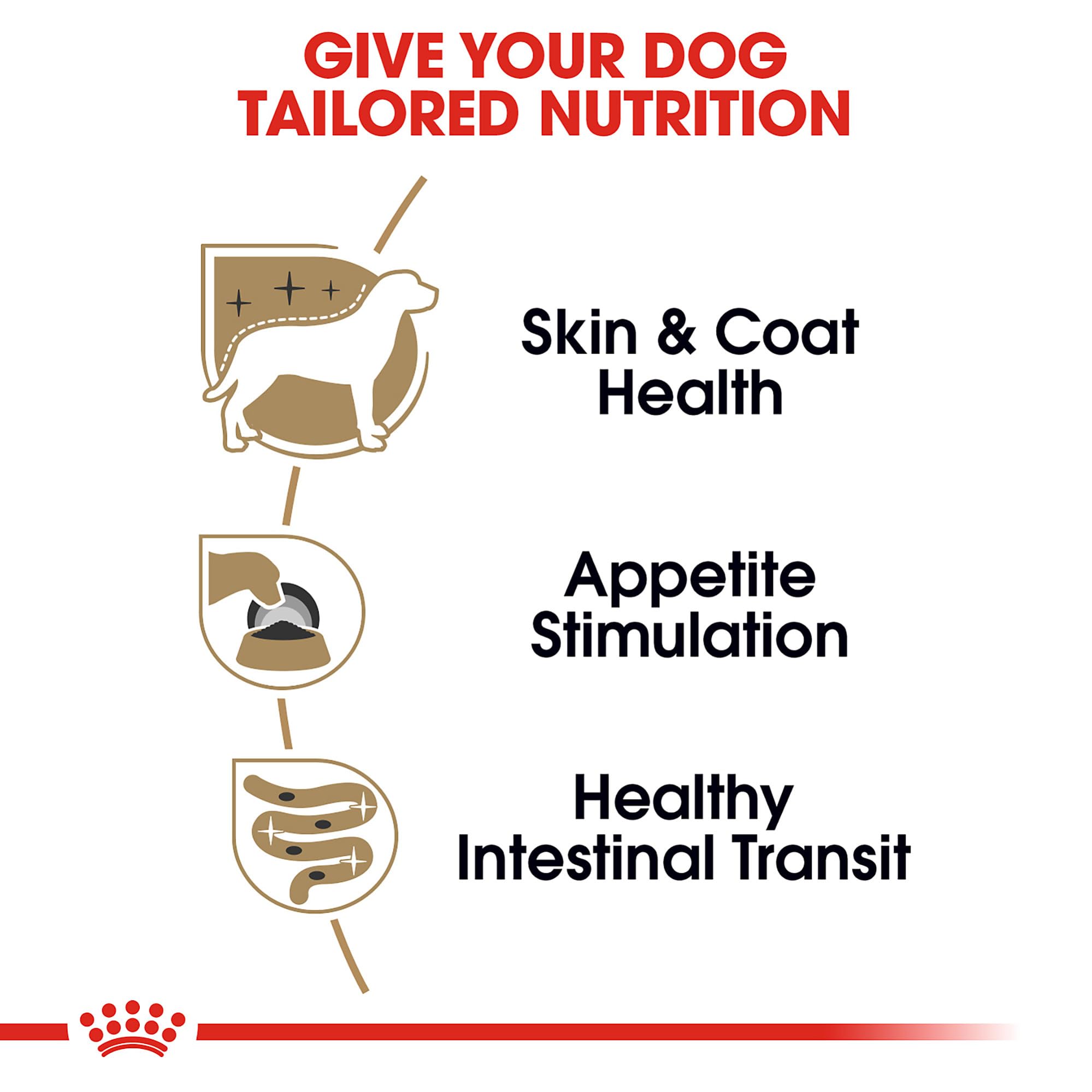 Coat health visuals with Royal Canin coat-support nutrients for Yorkies.