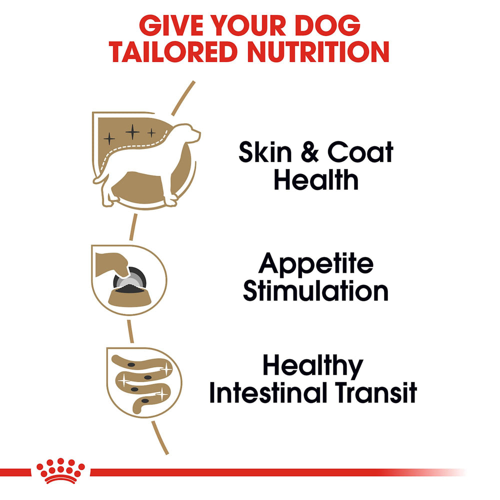 Coat health visuals with Royal Canin coat-support nutrients for Yorkies.