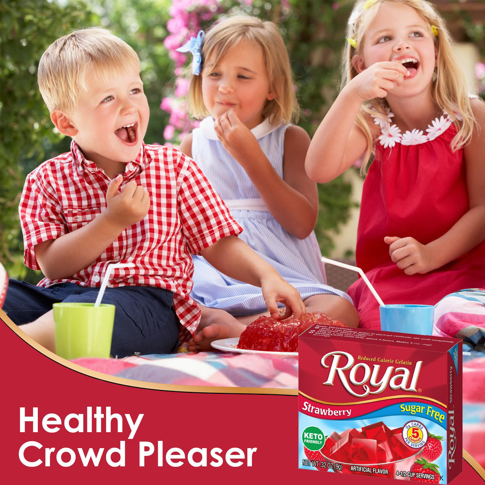 Royal Gelatin Sugar Free Variety Pack prepared jelly dish, Ready-to-serve snack