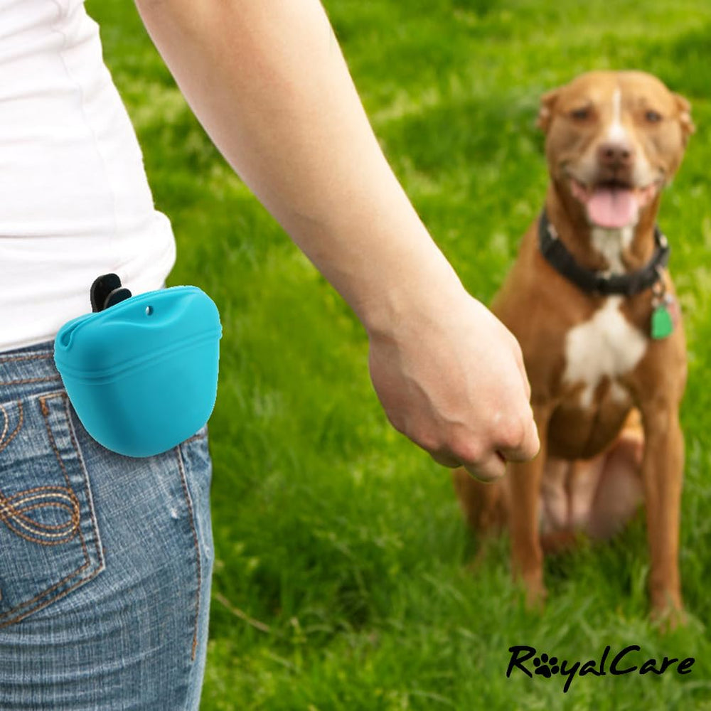 Clip-ceinture RoyalCare assurant un attache sûr lors des promenades.