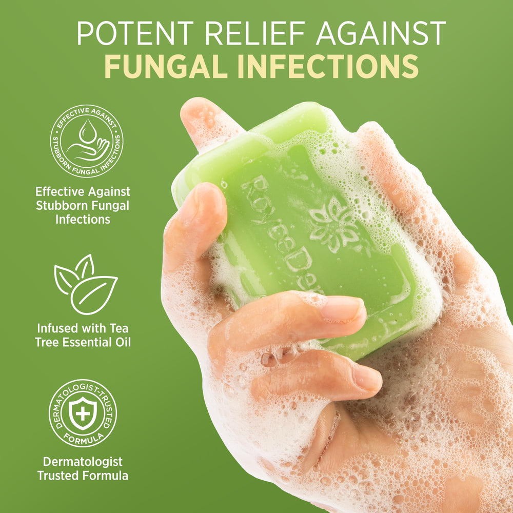 RoyceDerm bar soap showing rich lather for facial and body cleansing.