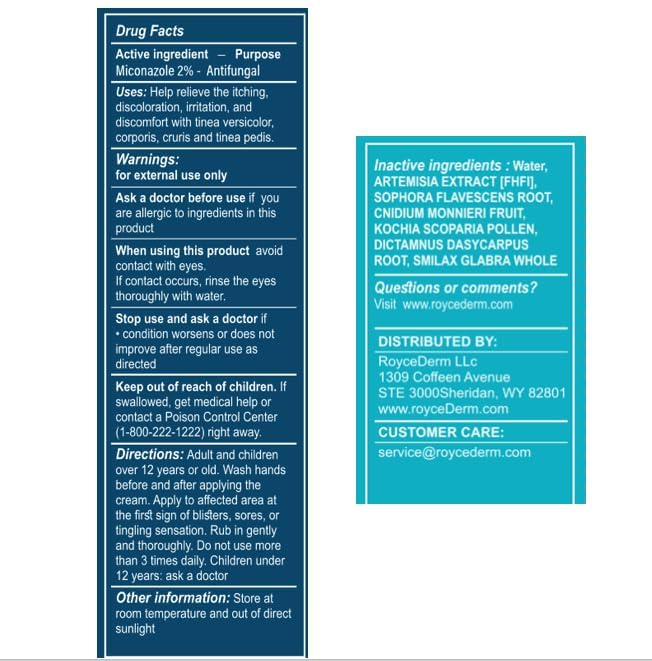 Illustrated usage guide showing steps to apply Roycederm effectively.