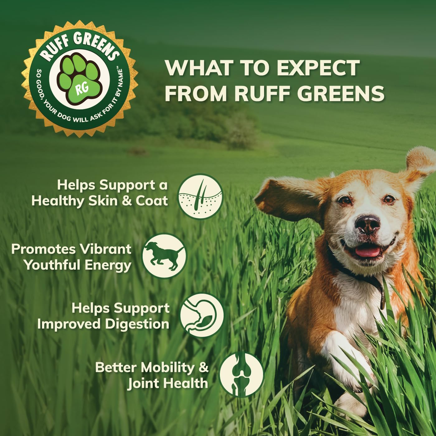 Ruff Greens senior-dog-support shows age-friendly mobility and energy compatibility.