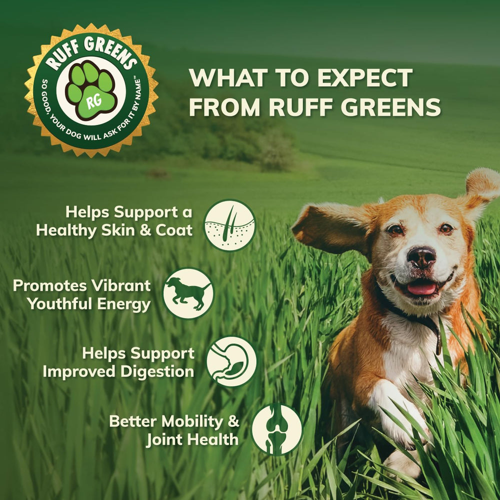 Ruff Greens senior-dog-support shows age-friendly mobility and energy compatibility.