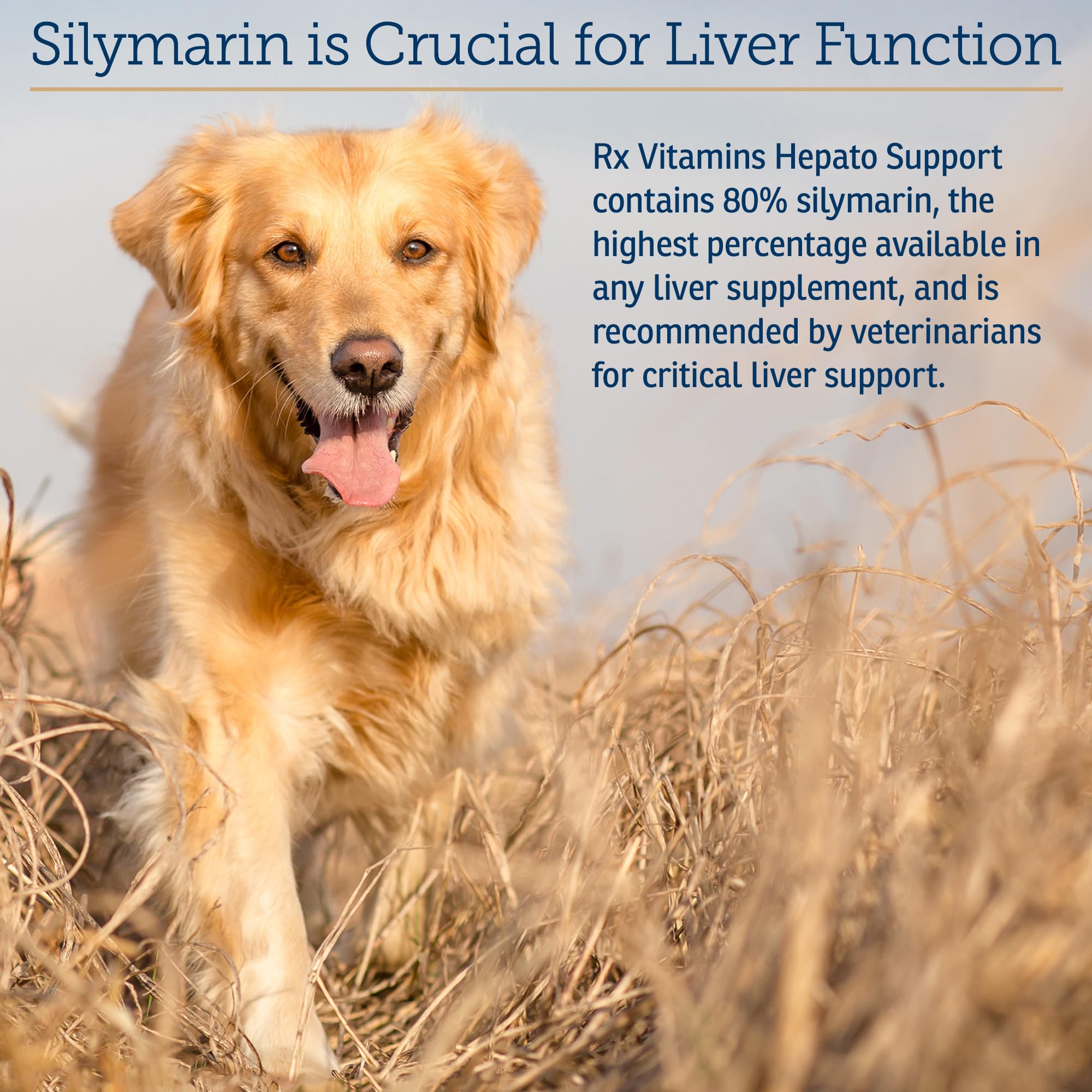 Rx Vitamins Hepato Support milk-thistle ingredients highlight natural liver support nutrients.