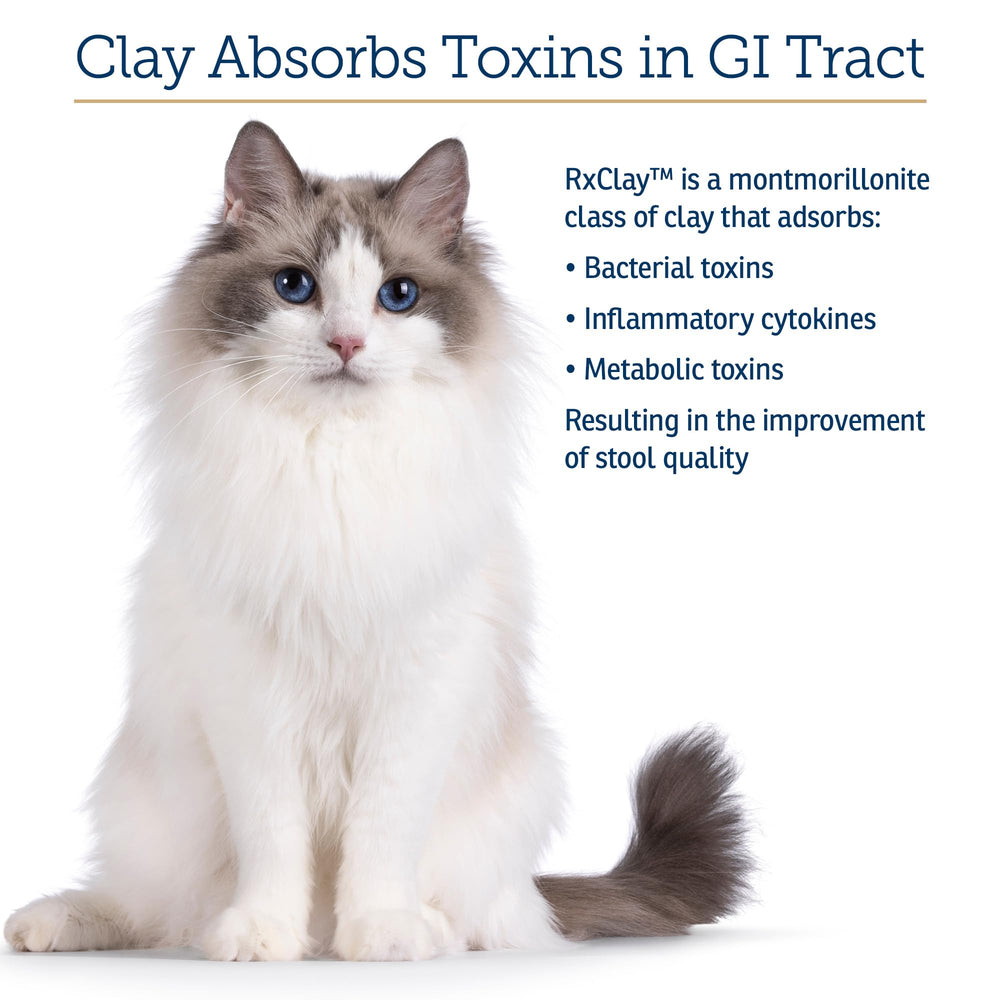 Rx Vitamins Rx Edible Clay Powder dog-digestive-support suggests gentle gas relief for tummy comfort