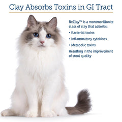 Rx Vitamins Rx Edible Clay Powder dog-digestive-support suggests gentle gas relief for tummy comfort