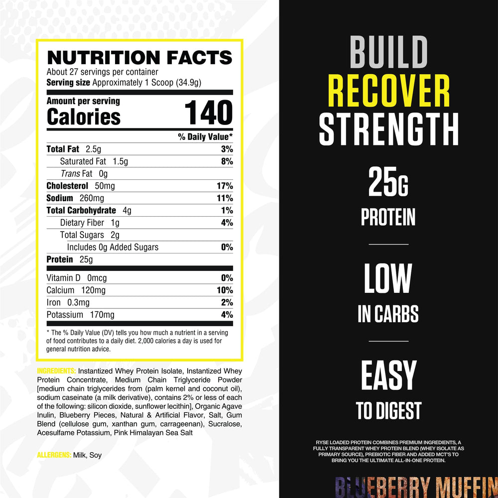 RYSE Loaded Protein Powder Blueberry Muffin blends into a creamy shake for gut-friendly nutrition.