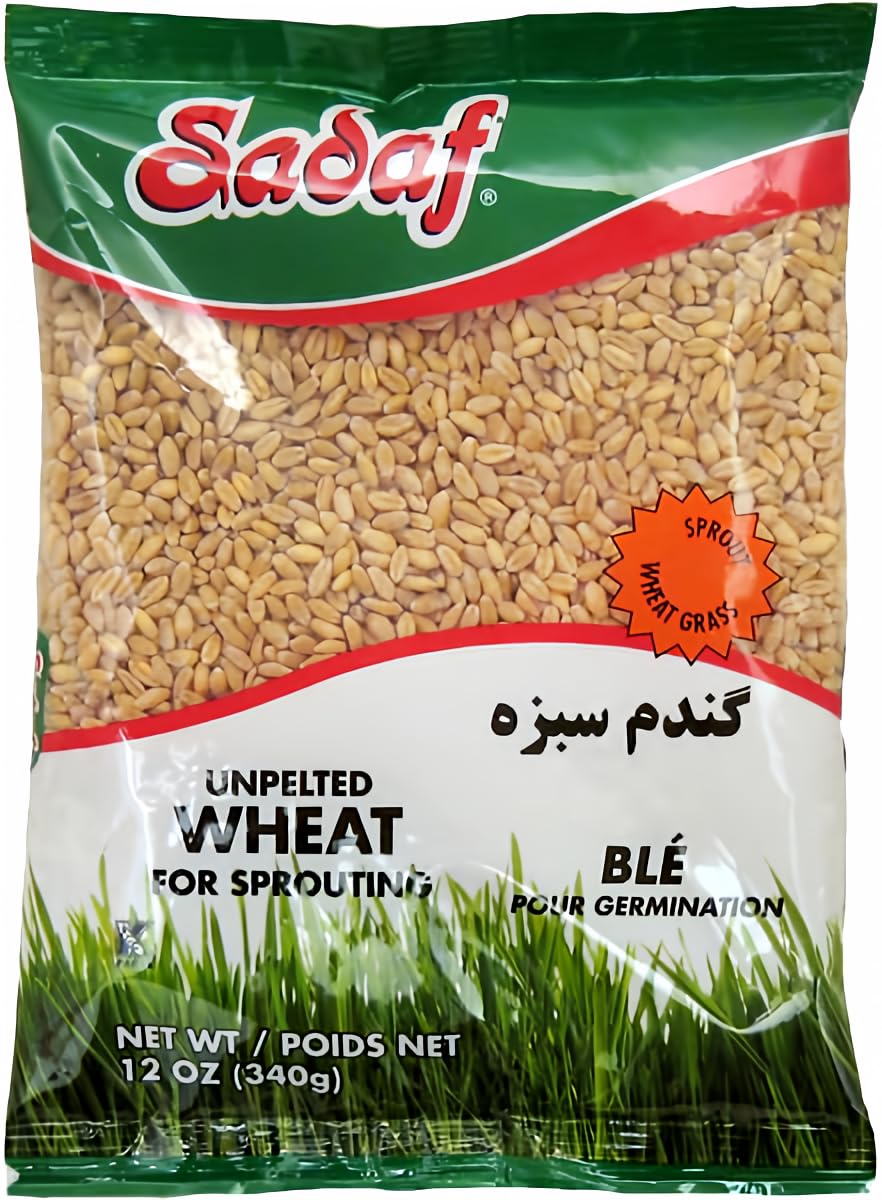 Sadaf Sabzeh sprouting wheat in 12 oz packaging, ideal for home sprouting and kosher kitchens.