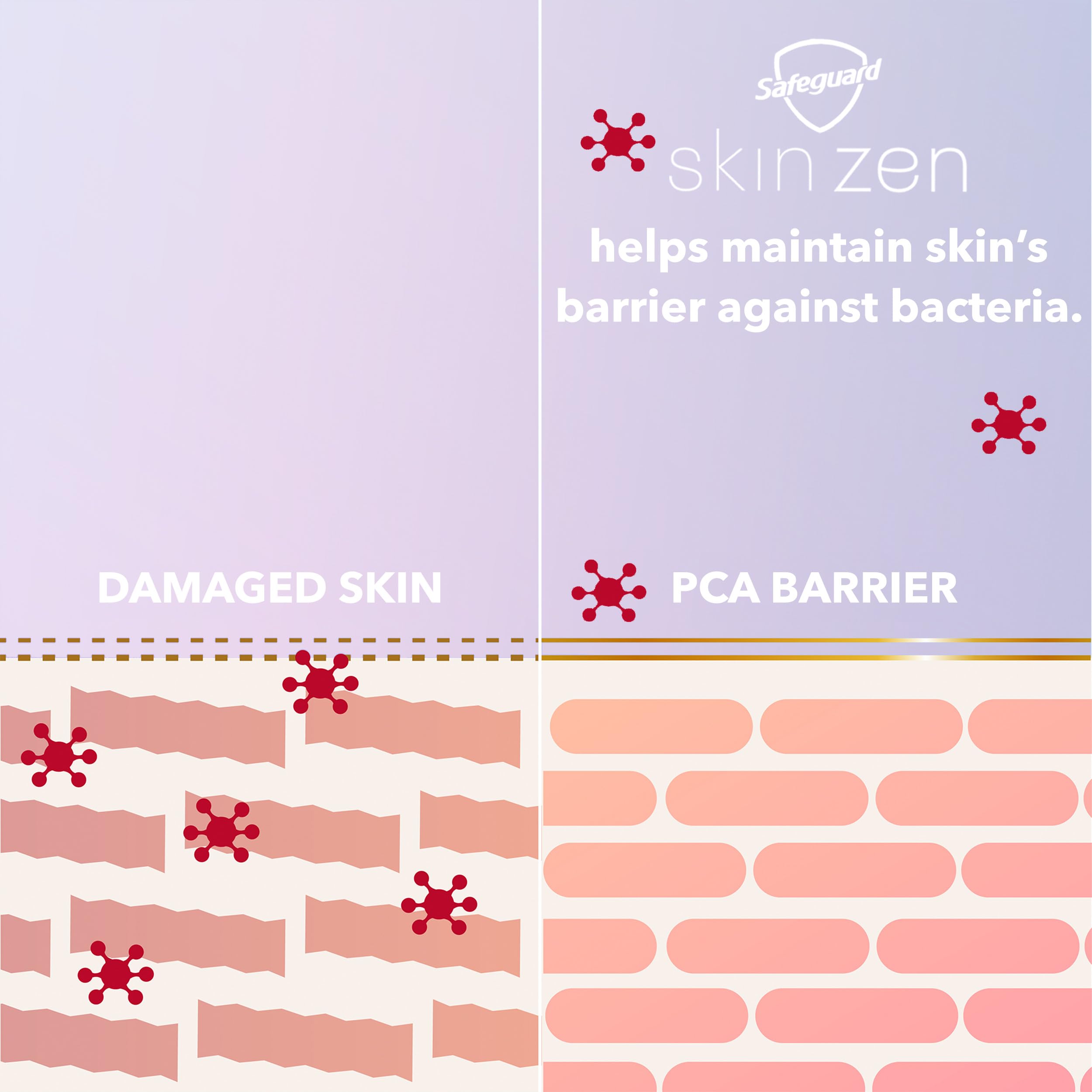 Safeguard Skin Zen 2X conditioners image implying enhanced skin comfort