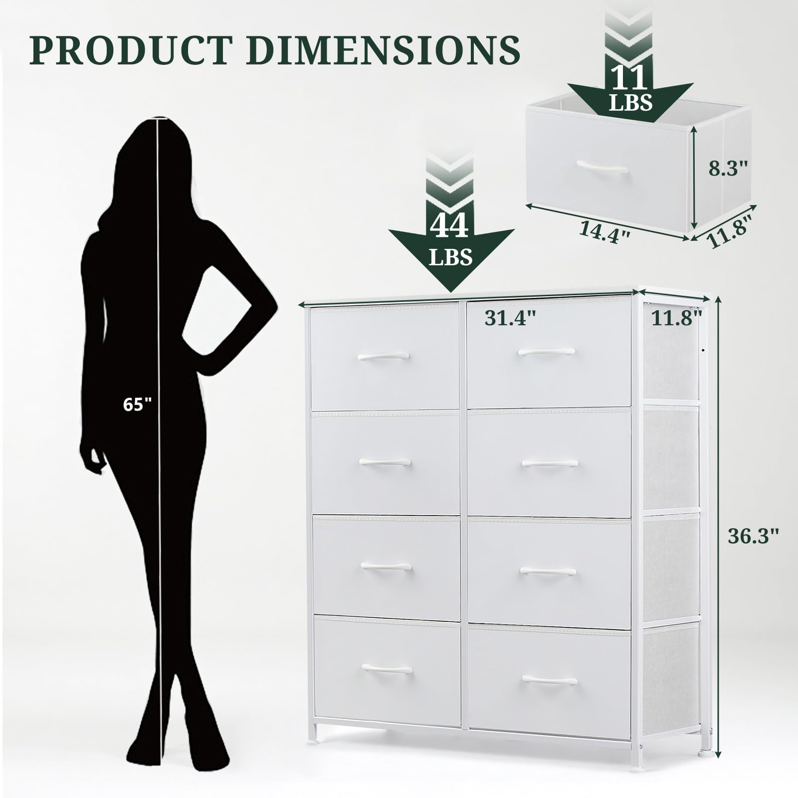 SageNest steel-frame construction detail highlighting sturdy support for decor.