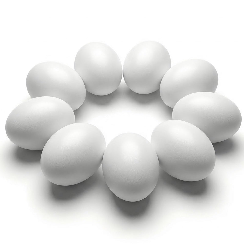 SallyFashion wooden eggs in nesting boxes for realistic pullet training and practice