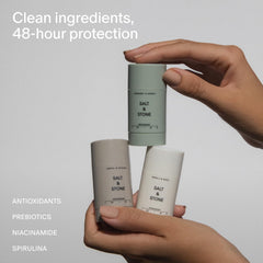 Salt & Stone seaweed extracts ingredient highlight for moisturizing skin.