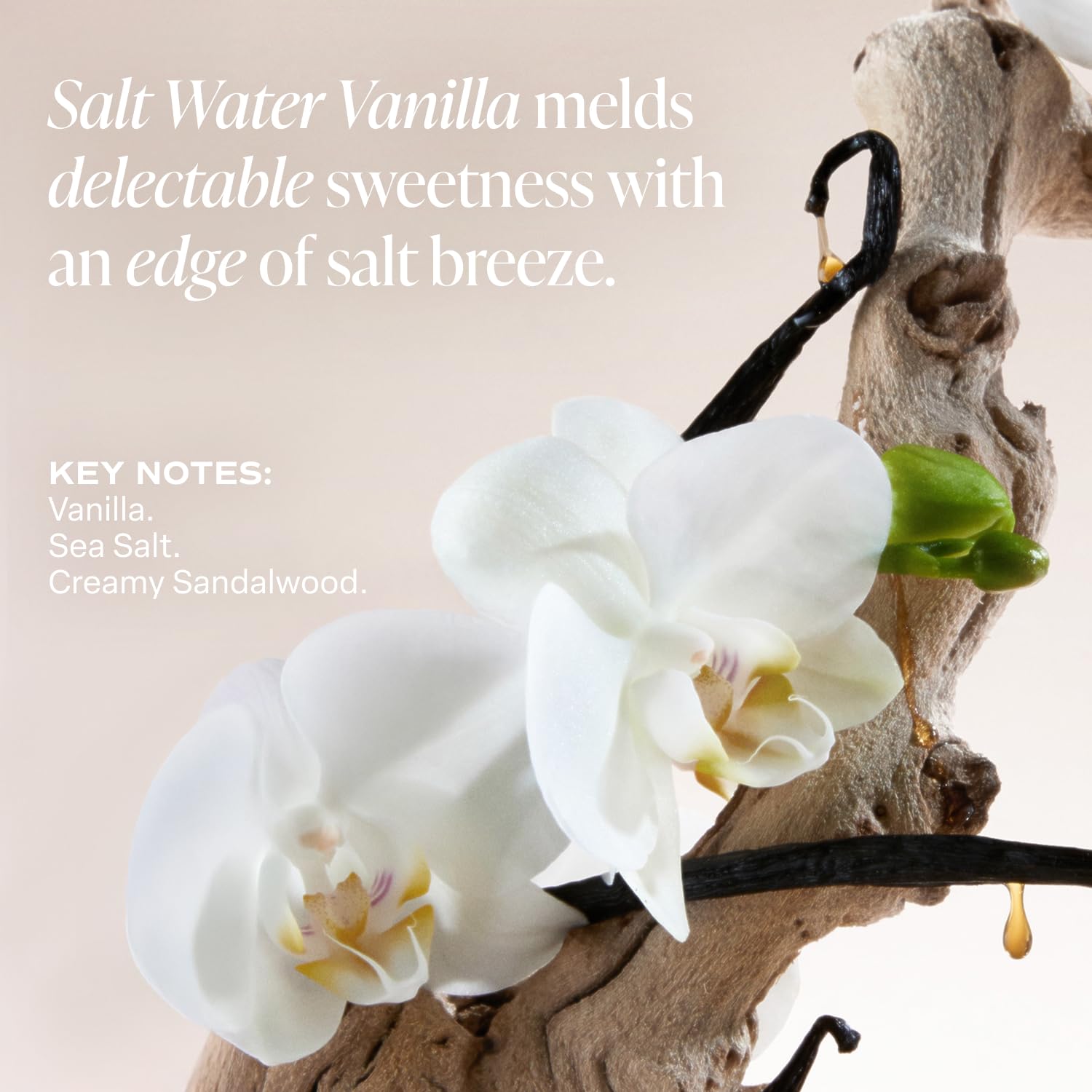 Saltair rich cream texture shown applying smoothly and absorbing without greasiness.