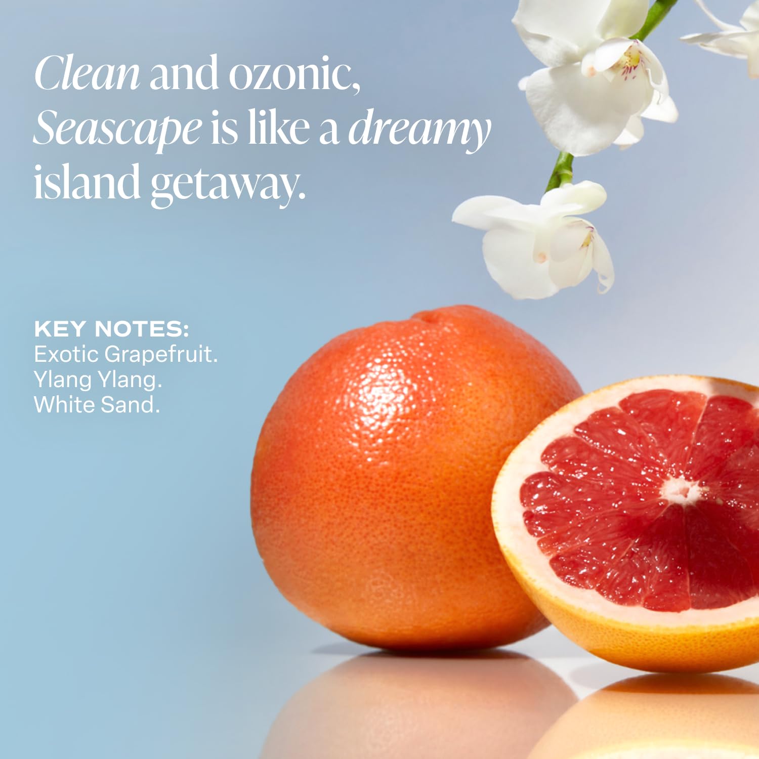 Saltair Seascape vegan cruelty-free packaging signals clean beauty