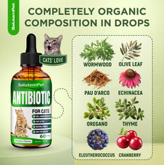SalutemPet cat antibiotic liquid with chicken flavor