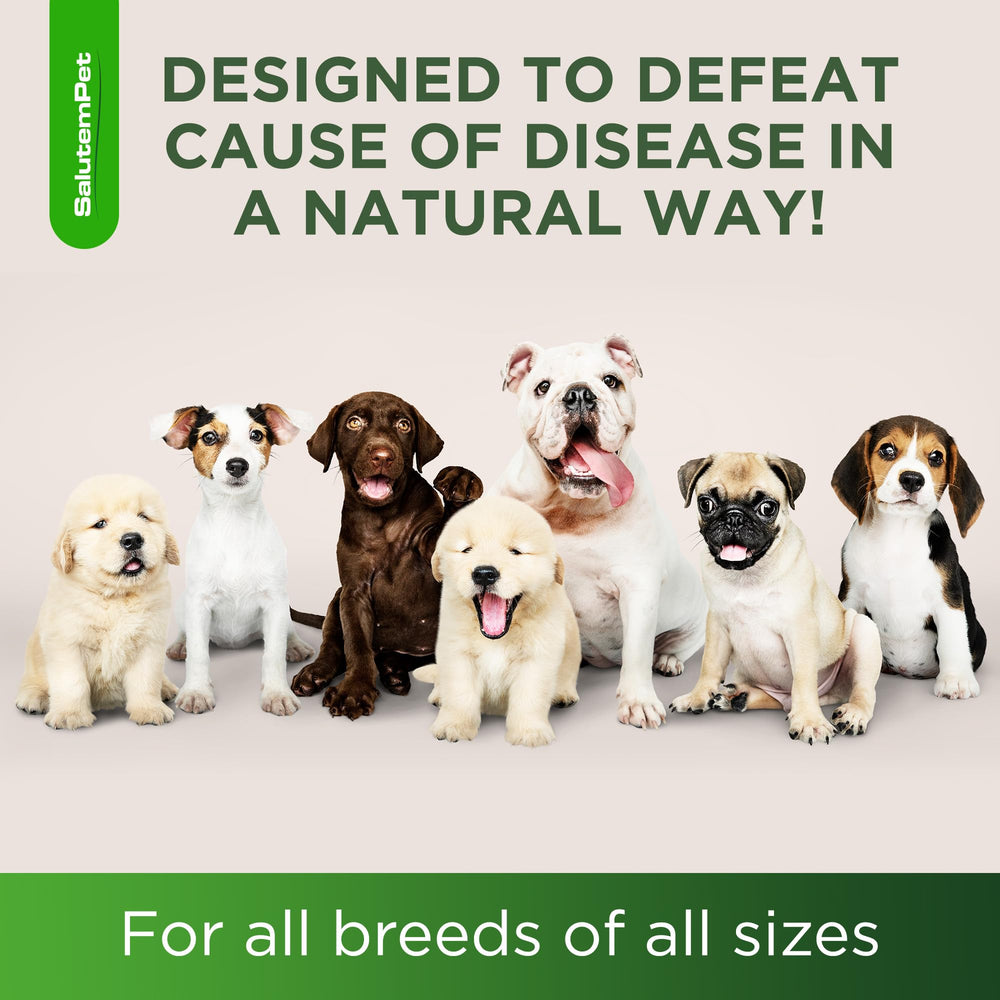SalutemPet veterinary-style packaging showing ease of use with no pills.