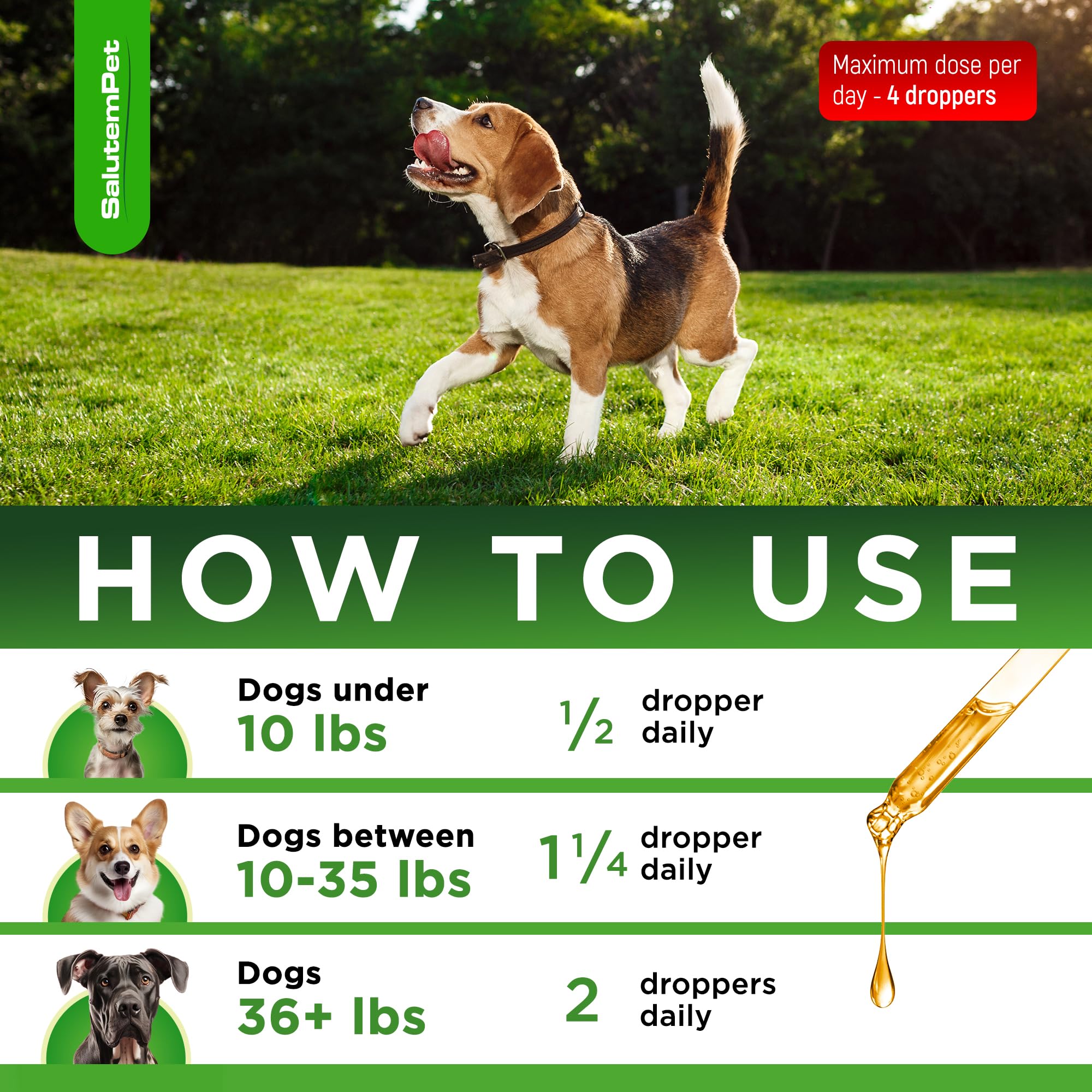 SalutemPet bottle with droppers illustrating quick absorption for daily canine care.