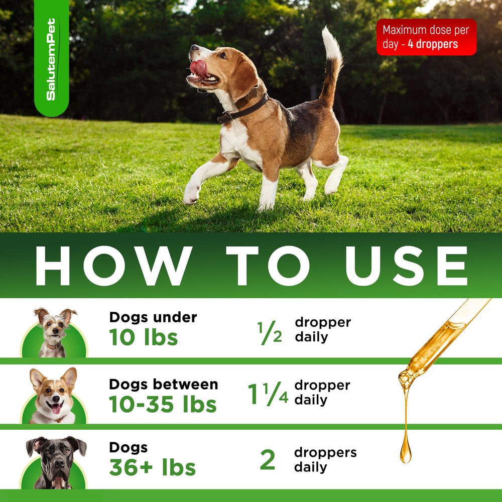 SalutemPet bottle with droppers illustrating quick absorption for daily canine care.