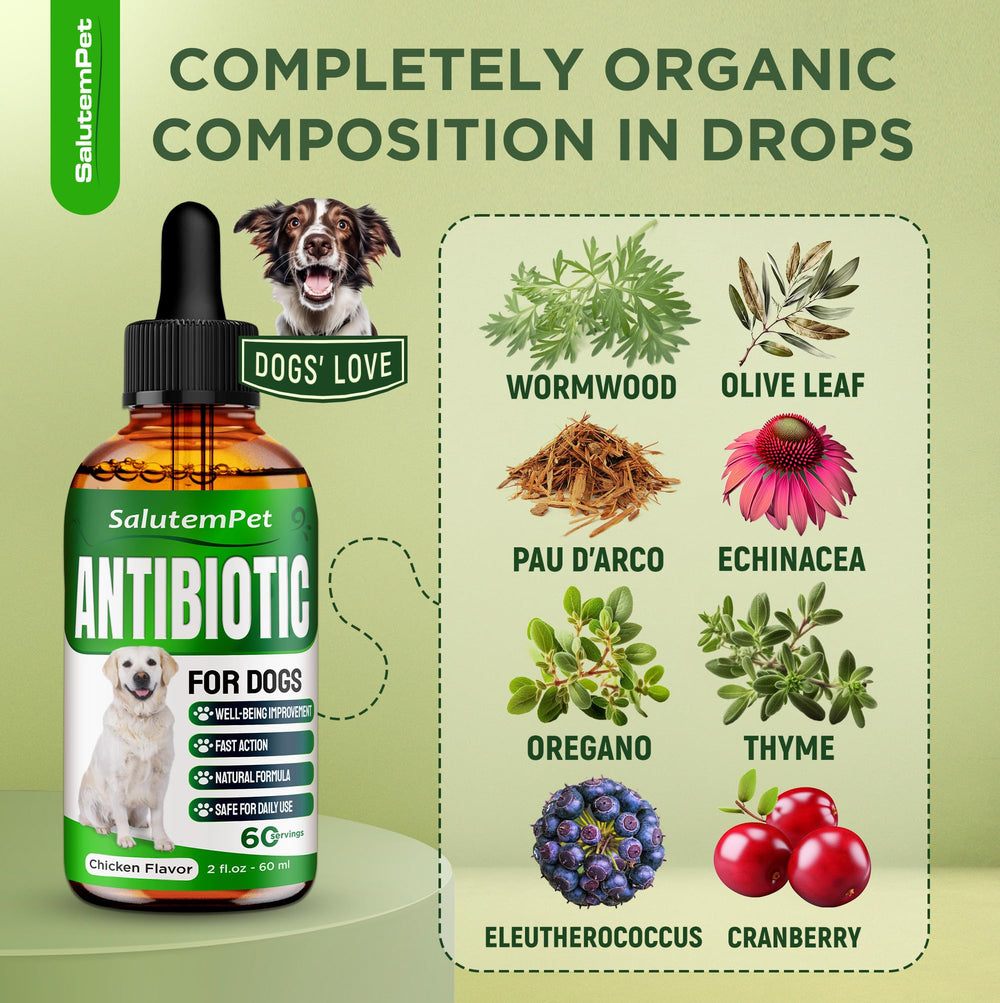 SalutemPet dog antibiotics drops in chicken flavor ready to mix into food or water.