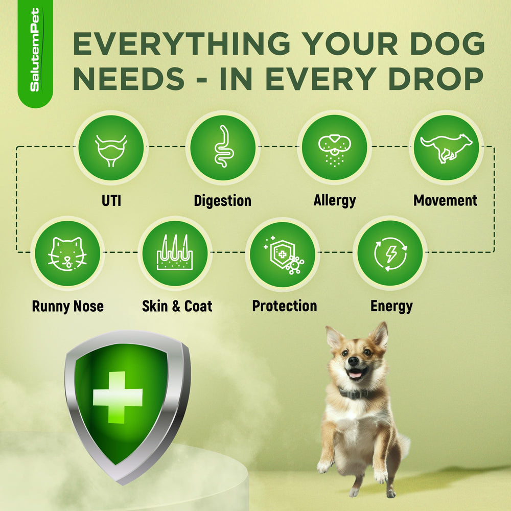 SalutemPet drops bottle close-up showing natural ingredients and easy administration.