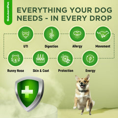 SalutemPet drops bottle close-up showing natural ingredients and easy administration.